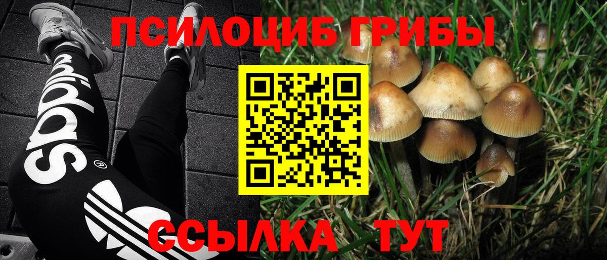 Псилоцибиновые грибы MAGIC MUSHROOMS Ессентуки